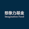 Imagination Fund