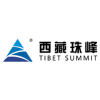 Tibet Jiuzheng Capital Investment